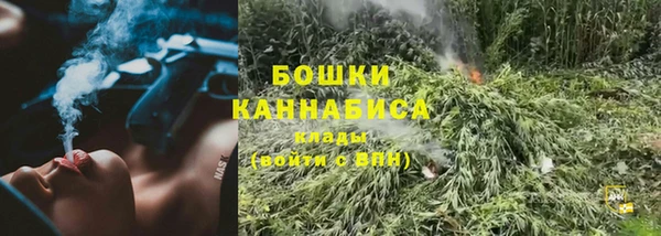 МДПВ Гусиноозёрск