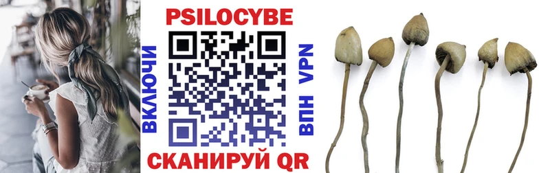 Купить закладки Ишимбай Псилоцибиновые грибы ЛСД